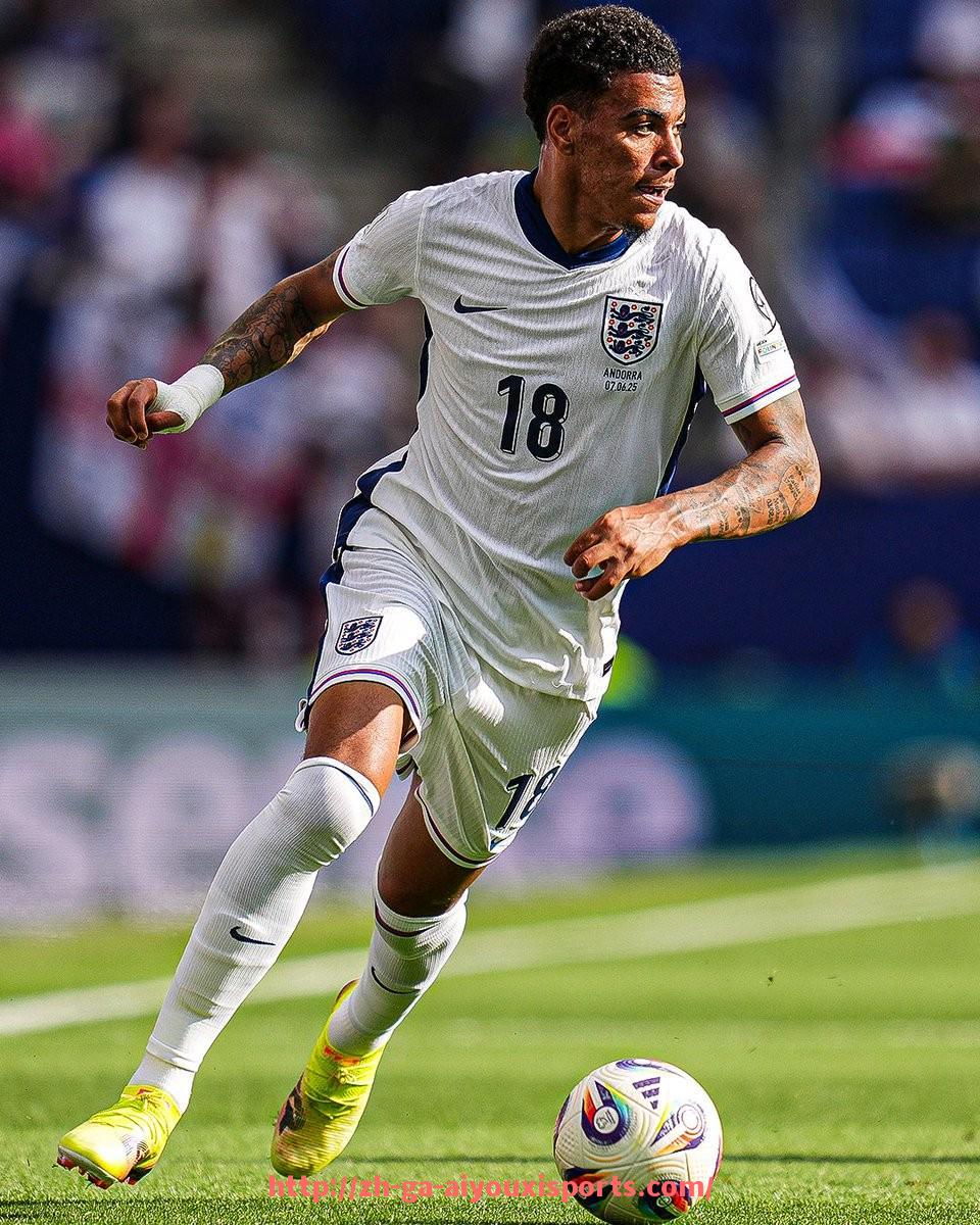 爱游戏体育官网-2025年世俱杯球鞋品牌年度榜单及市场表现回顾