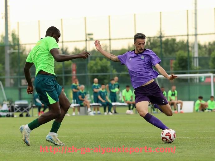 爱游戏体育官网-法甲比赛数据分析报告及关键数据解读